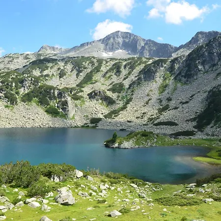 Belvedere 1bedroom With Kitchen Apartment Bansko