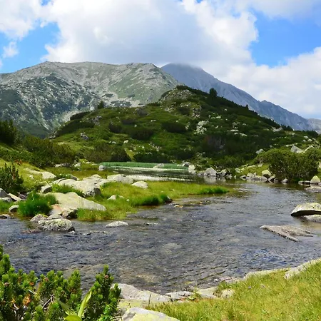 Belvedere 1bedroom With Kitchen Bansko