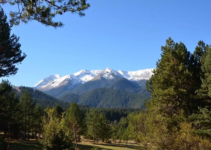 Appartamento Belvedere 1bedroom With Kitchen