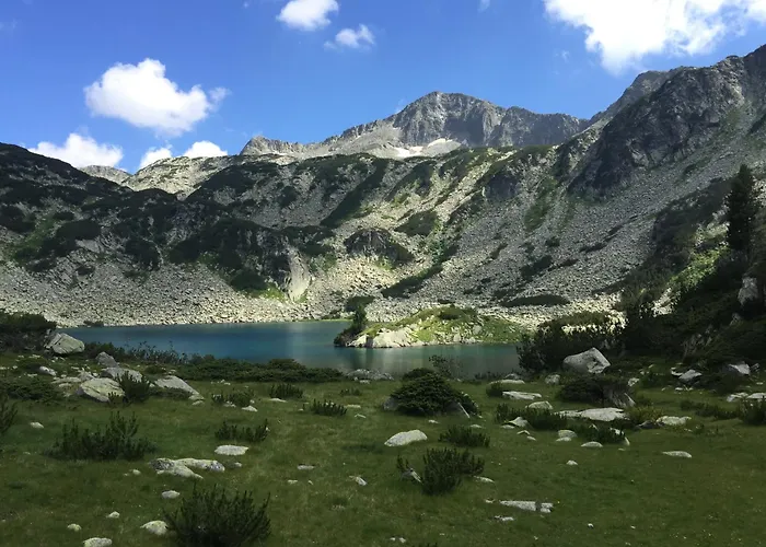 Belvedere 1bedroom With Kitchen * Bansko